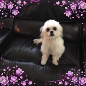 Meet your Posher, Joann